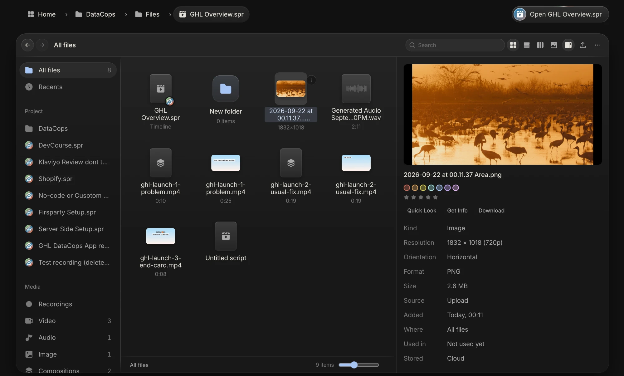 Spring Pro project files: the Finder view of a project with videos, compositions, audio and a preview panel